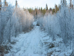 P� v�gens botten